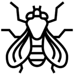 Cum scap de muste-dezinsectie DDD Fix