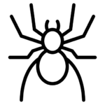 Cum scap de paienjeni-dezinsectie DDD Fix