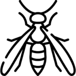 Cum scapam de viespi - Dezinsectie DDD Fix