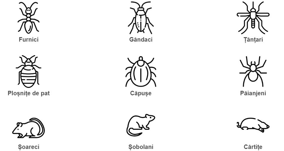 Furnici, gândaci, țânțari, ploșnițe de pat, căpuse, păianjeni, șoareci, șobolani, cârtite. Dăunatori dezinsecție, dezinfecție, deratizare