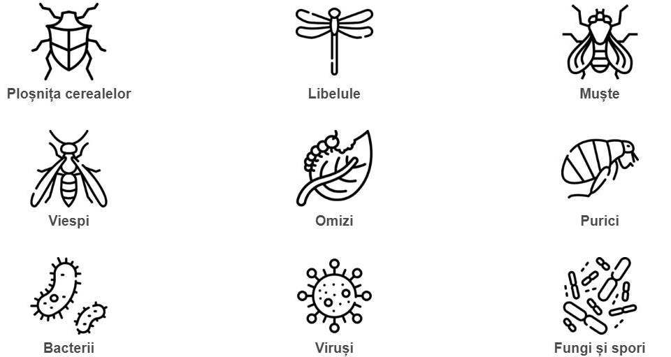 Ploșnița cerealelor, libelile, muște. viespi, omizi, purici, bacterii, viruși, fungi și spori. Daunători dezinsecție, dezinfecție, deratizare