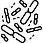 Cum scapam de fungi - Dezinfectie DDD Fix