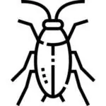 cum-scapi-de-gandaci-de-bucatarie-dezinsectieDDD-Fix
